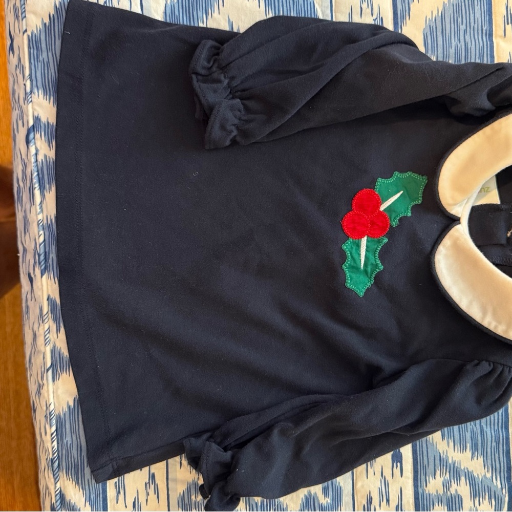 Christmas Blue and Red Floral Mistletoe Embroidered Dress